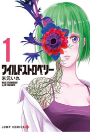 WILD STRAWBERRY VOL.1 - REGULAR