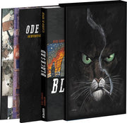 BLACKSAD - IL GIOCO DI RUOLO UFFICIALE