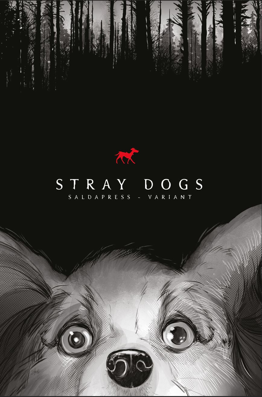 STRAY DOGS - CANI RANDAGI - VARIANT LIMITATA THE BLAIR WITCH PROJECT