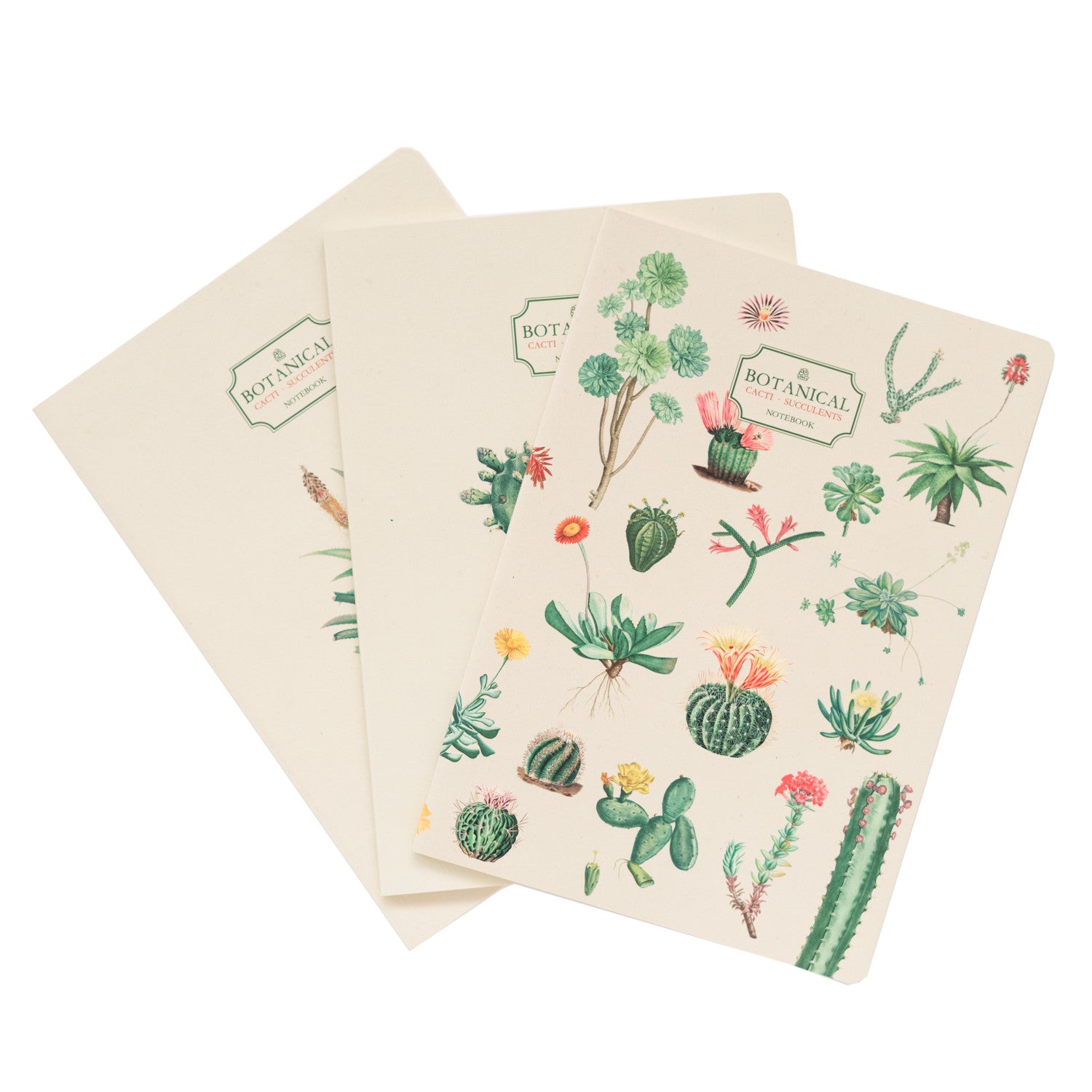 PCA5002 - BOTANICAL CACTI - SET 3 A5 NOTEBOOK - BOTANICAL CACTI
