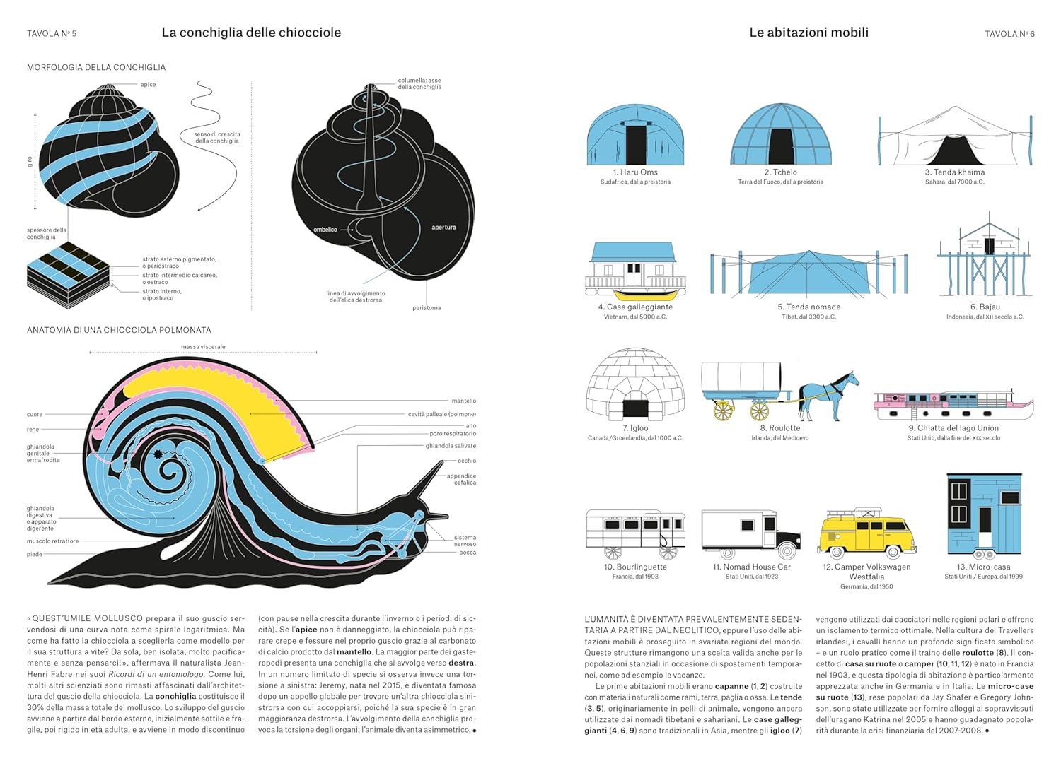 FENOMENI - Immagine 2