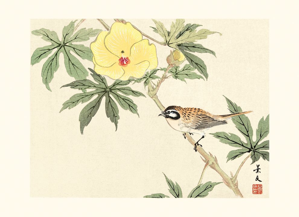 I FIORI - Immagine 3