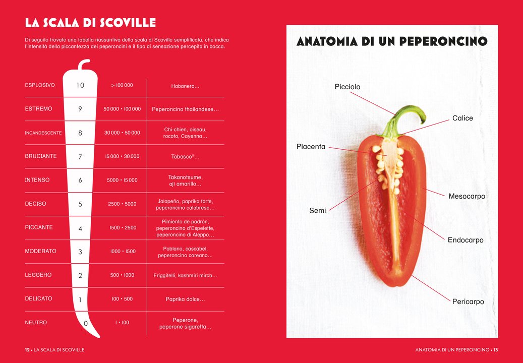 PEPERONCINO - Immagine 2