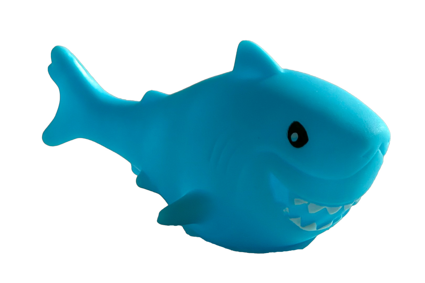 TALI E SQUALI - Immagine 2