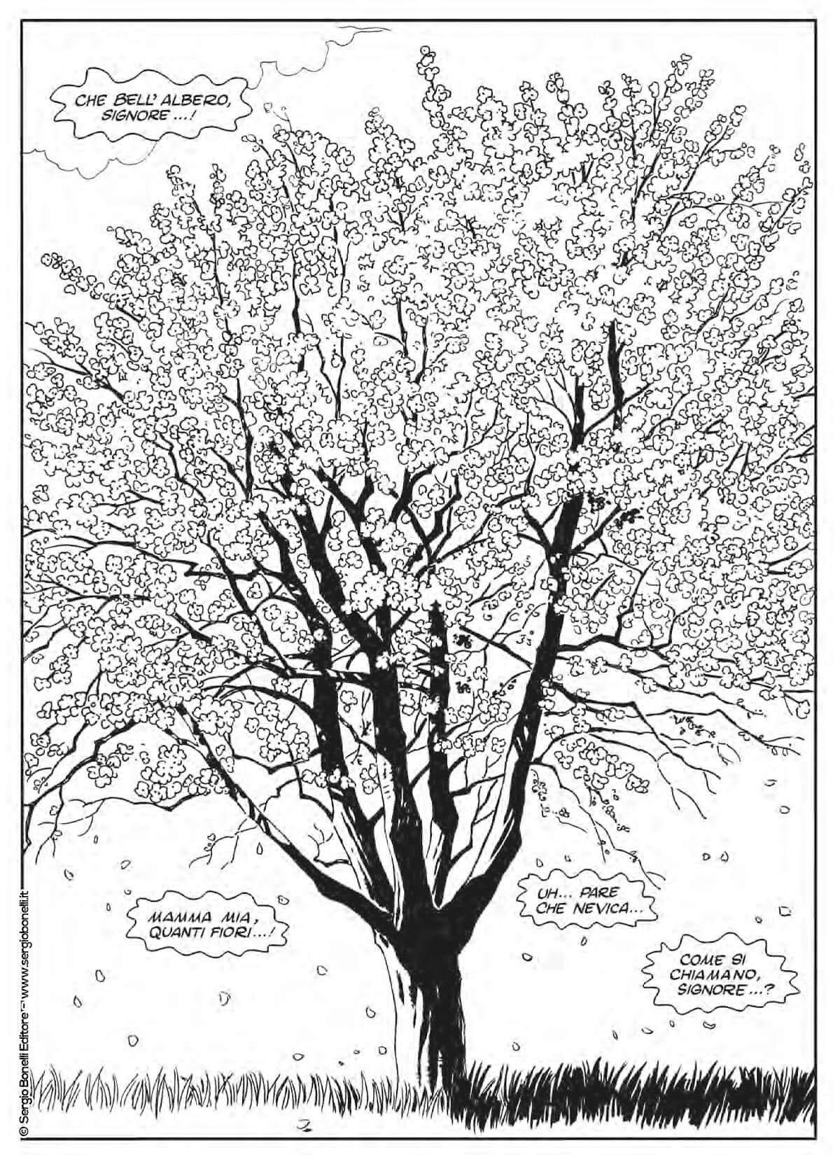 LA NAPOLI DEL COMMISSARIO RICCIARDI - VIAGGIO ILLUSTRATO - Immagine 2